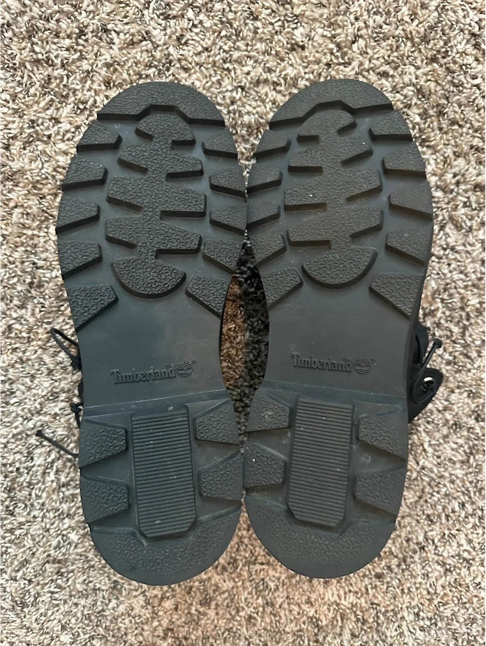 Timberland Men's Premium 6